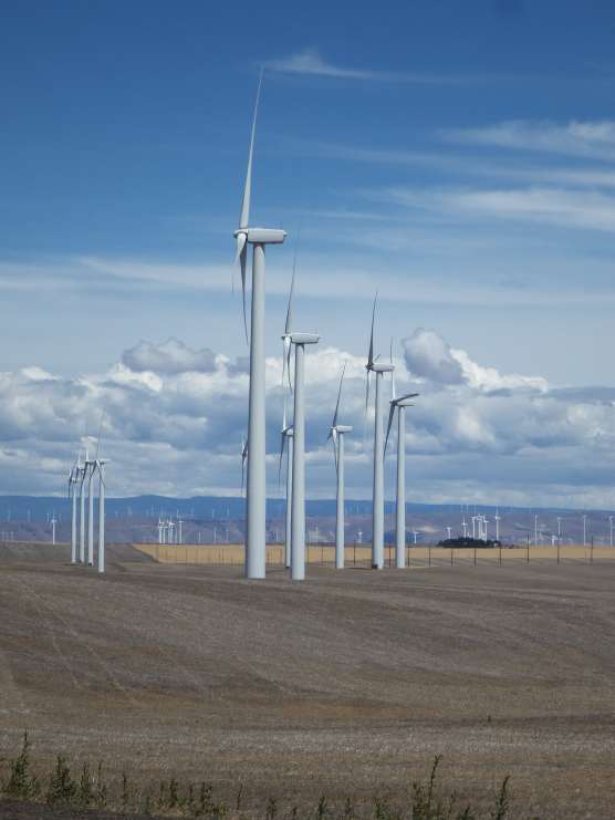 The farming of wind and wheat in Oregon.